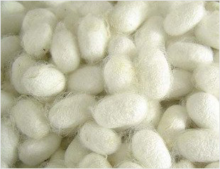 silk duvets