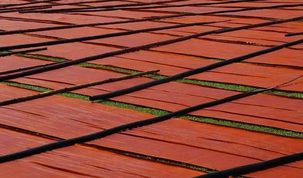 香雲紗製造工程 第3工程