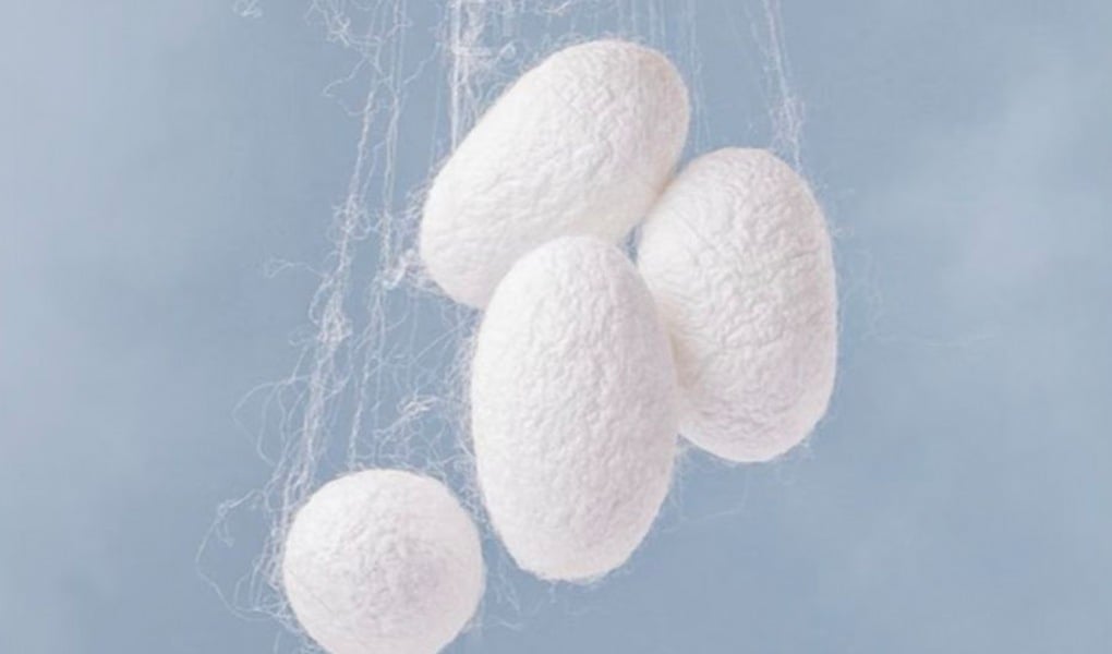 mulberry silk