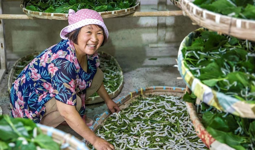 soie expérience-suzhou-d