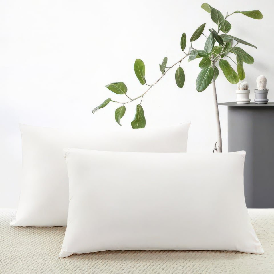 mulberry silk filled pillows