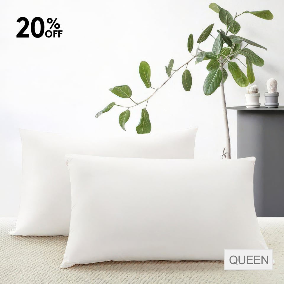 silk pillow with cotton shell