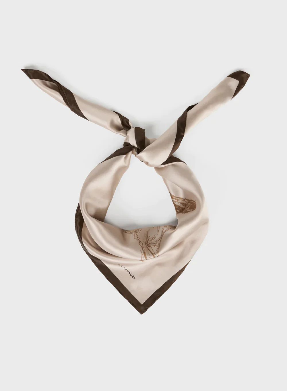 Printed Silk Scarf main image 1